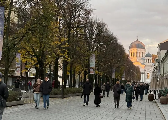 Appartement Downtown - Maironis 10 *